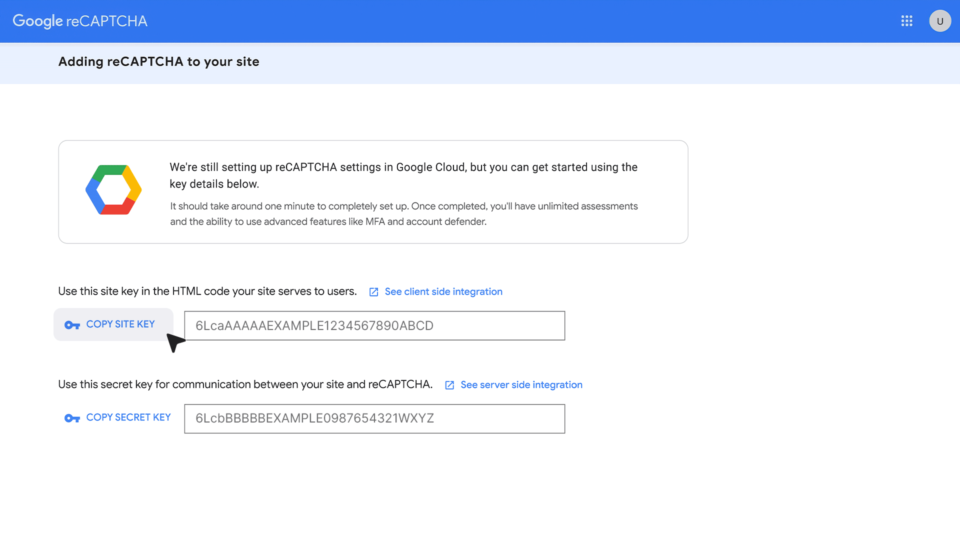 connecting-your-domain-in-makeForms-10.gif